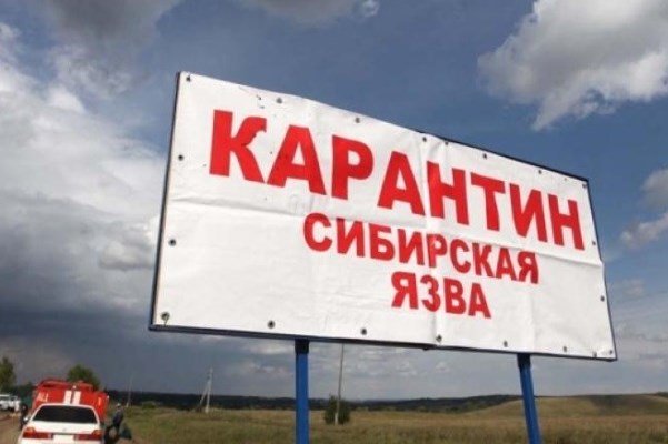 sibirskaja jazva