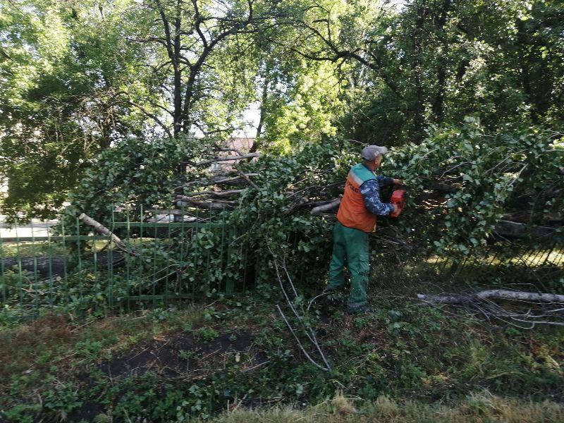 padajut derevja kramatorsk.jpg2
