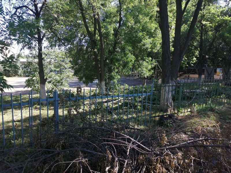 padajut derevja kramatorsk.jpg4