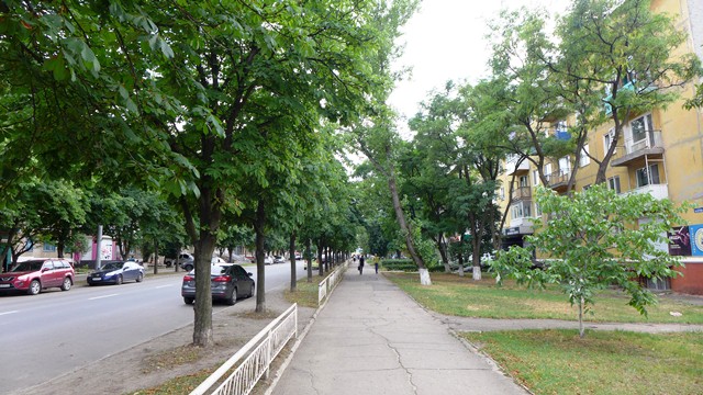 derevja stusa kramatorsk