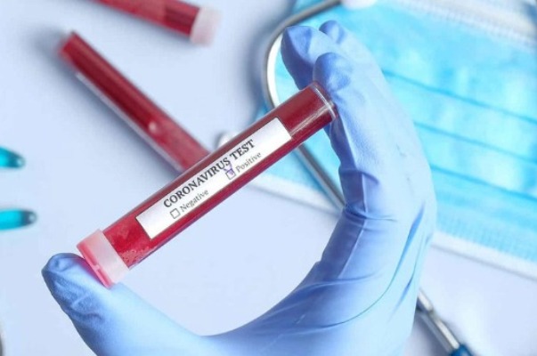 koronavirus novosti