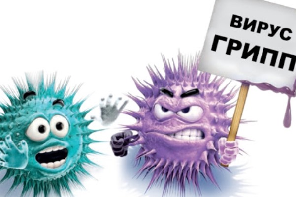 virus grippa