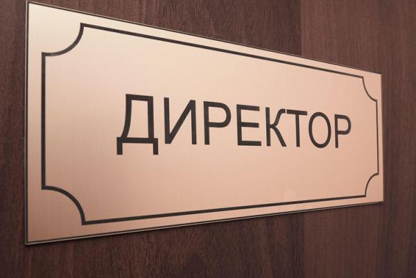 direktor shkoly