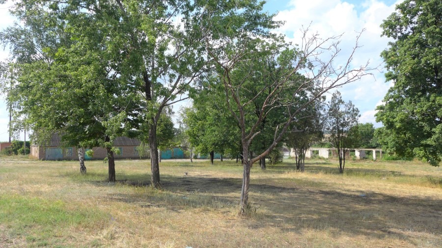 goncharenko shabelkovka sady kramatorsk 10