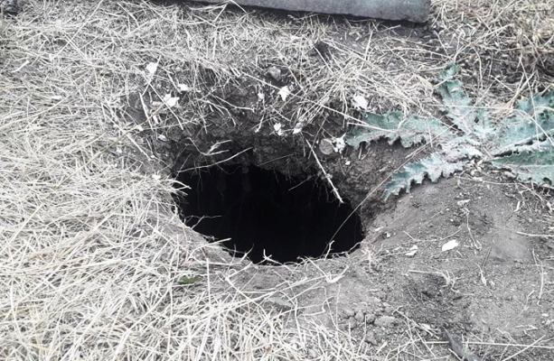 krolichya nora kramatorsk 4