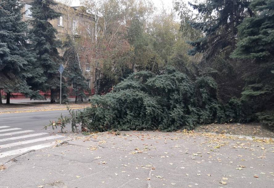 dtp kramatorsk 8