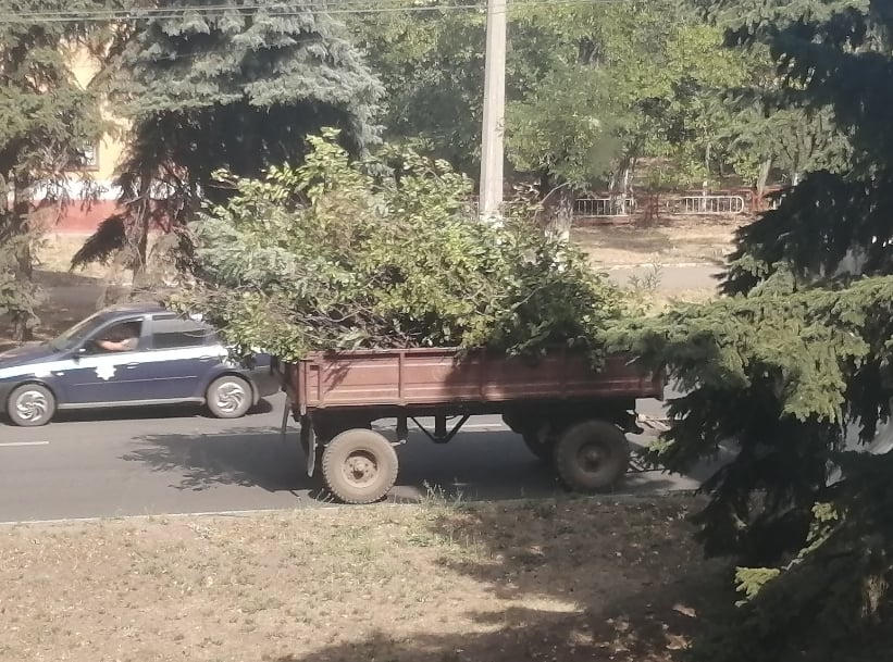 kramatorsk derevia