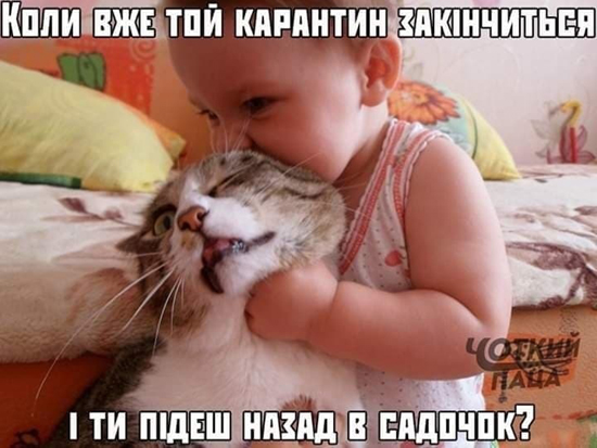 100084a426a13942868435472b45a68feb47