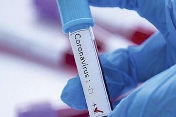 koronavirus smert