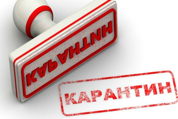 karantin