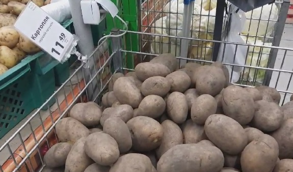 655