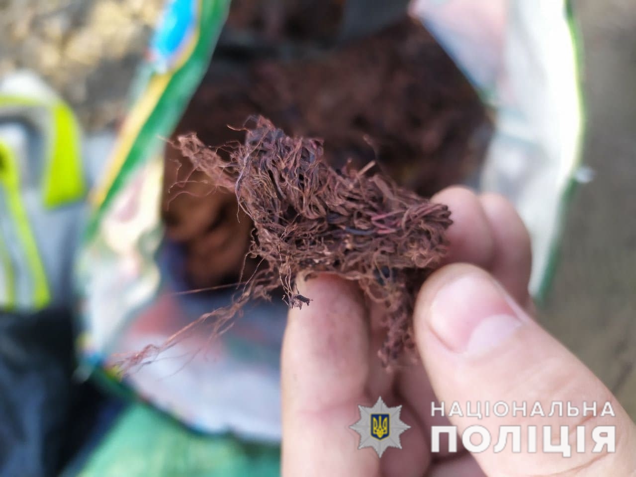 photo 2020 12 22 17 38 52