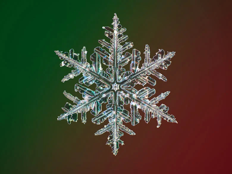Ice Queen 780x585