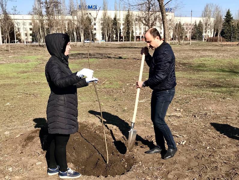 vysadka derevev KRGA