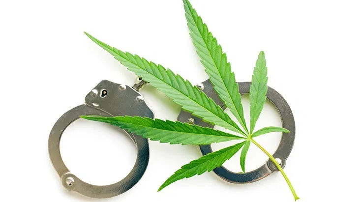 cannabis narkotorgovec sud 26 02 kramatorsk
