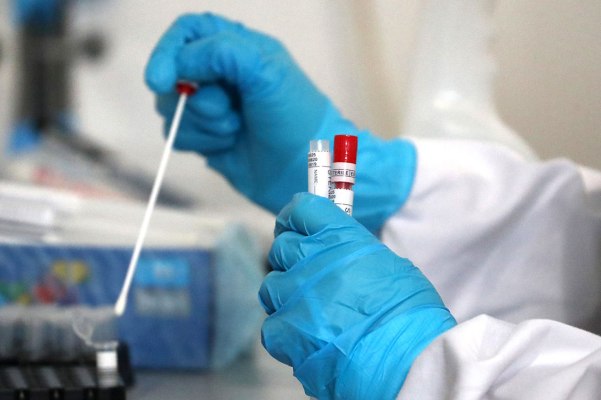 koronavirus statistika gorod