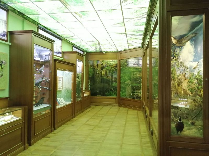 images20210404004kropivnickij vpechatlenija.jpg00 3