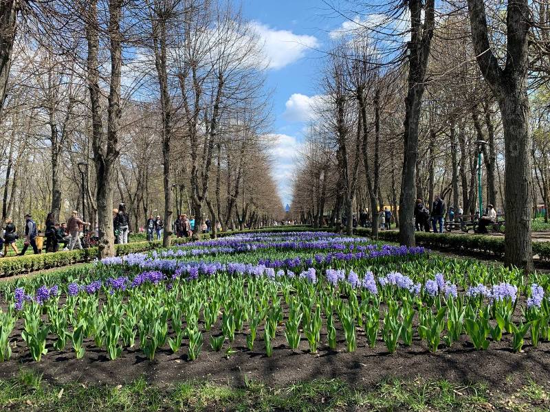 kropivnickij vpechatlenija park1