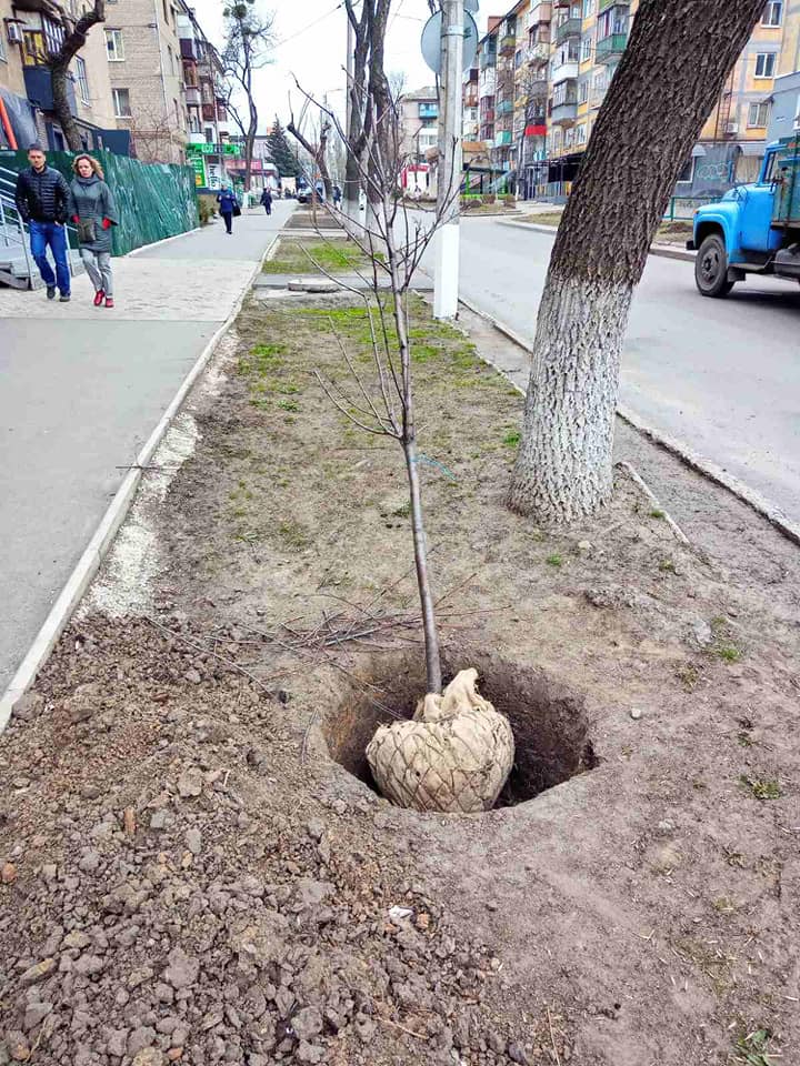 kramatorsk ursas ruabini