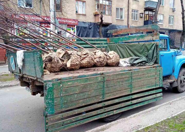 kramatorsk ursas ruabini2