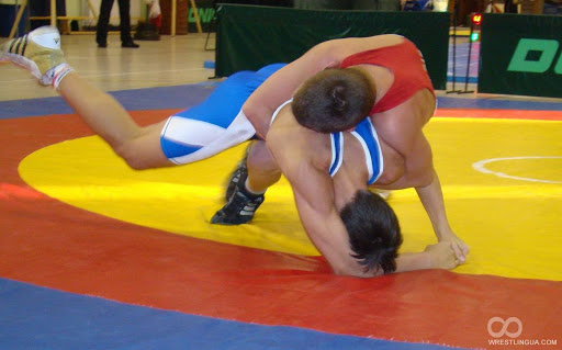 bortsi chempionat1