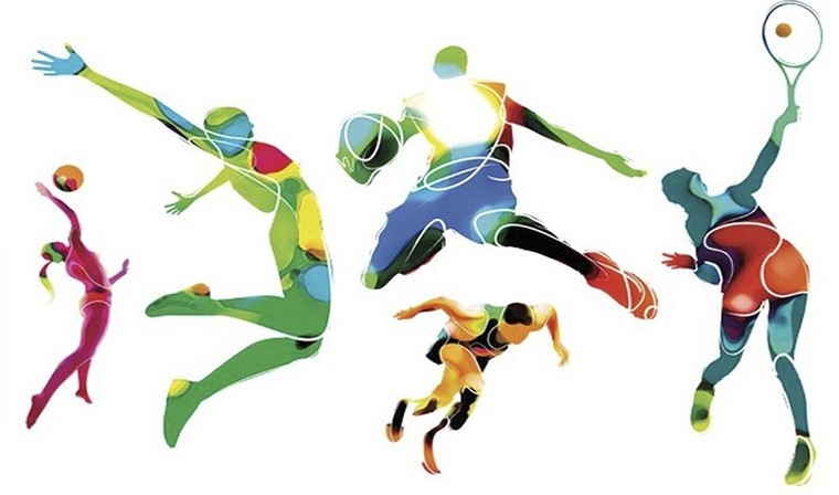 den sporta