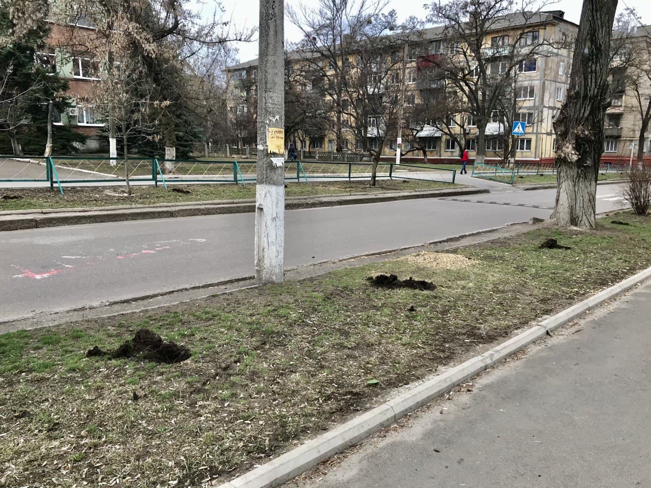 kramatorsk ursas ozelenenie1