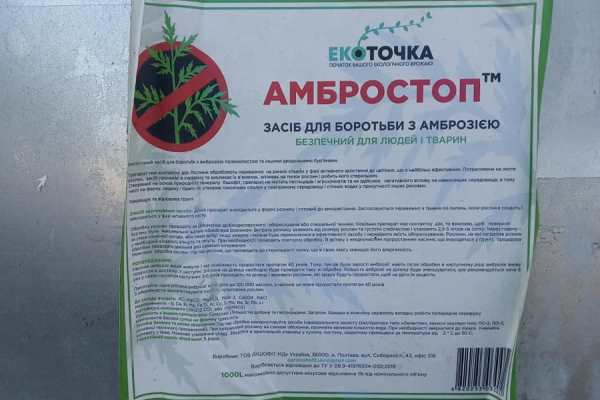 ambrozija ambrostop