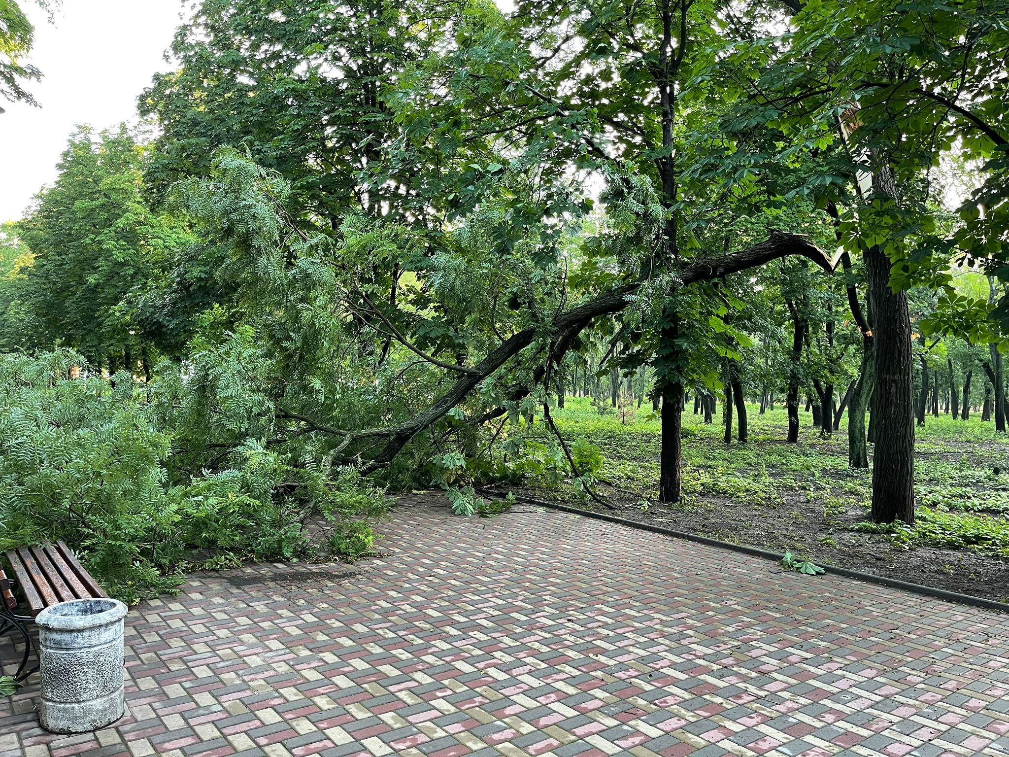 kramatorsk derevia1