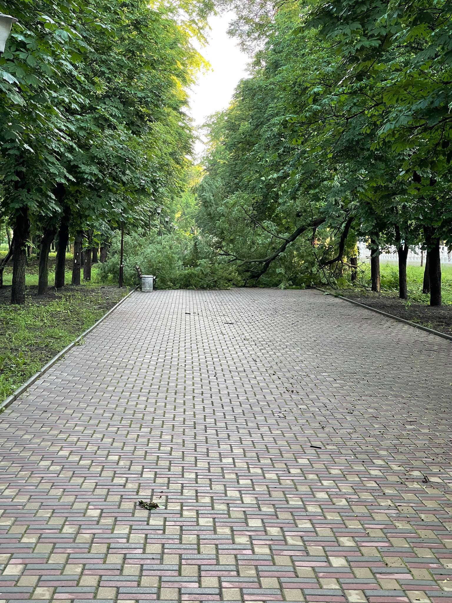 kramatorsk derevia2