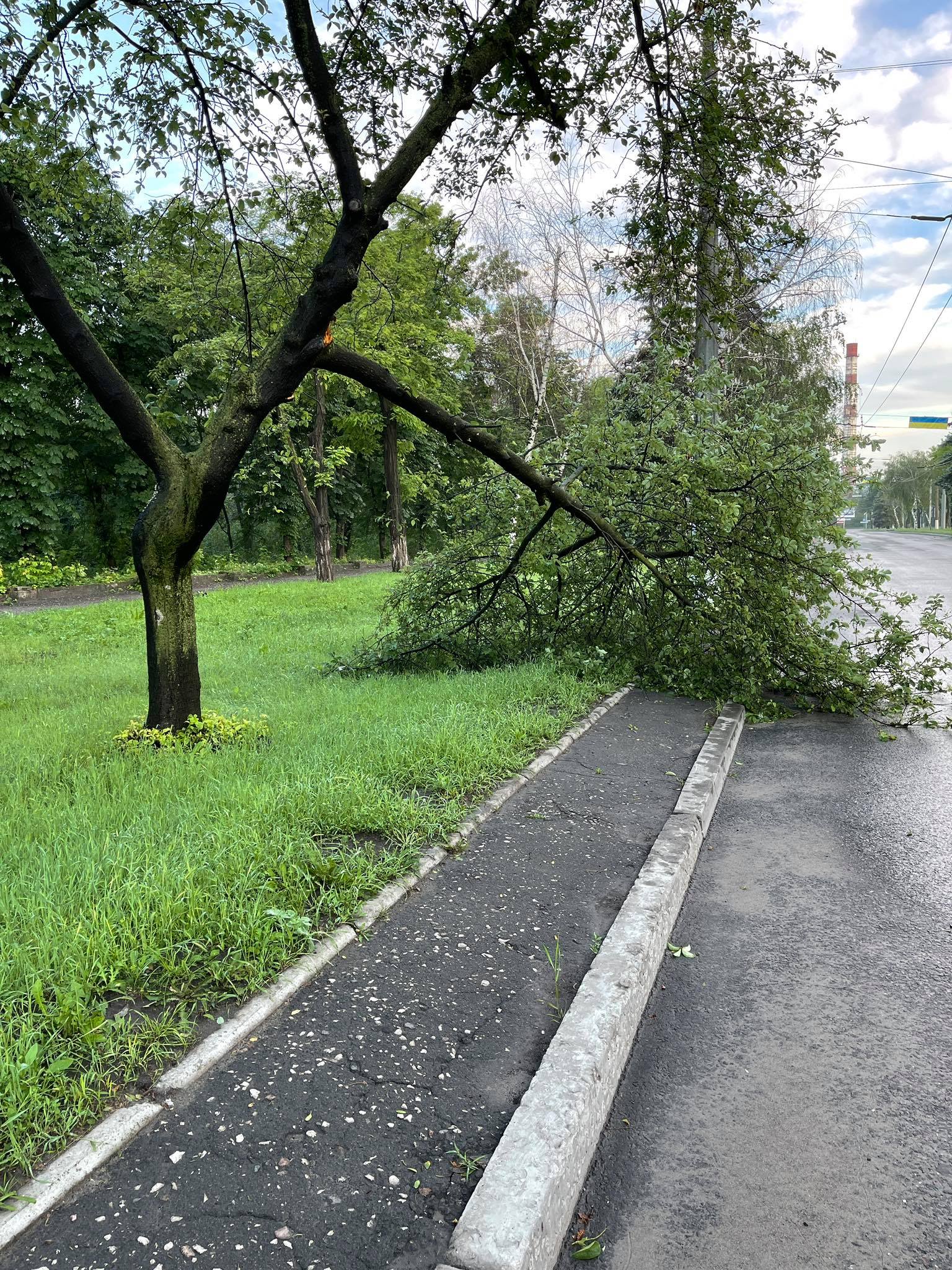 kramatorsk derevia4