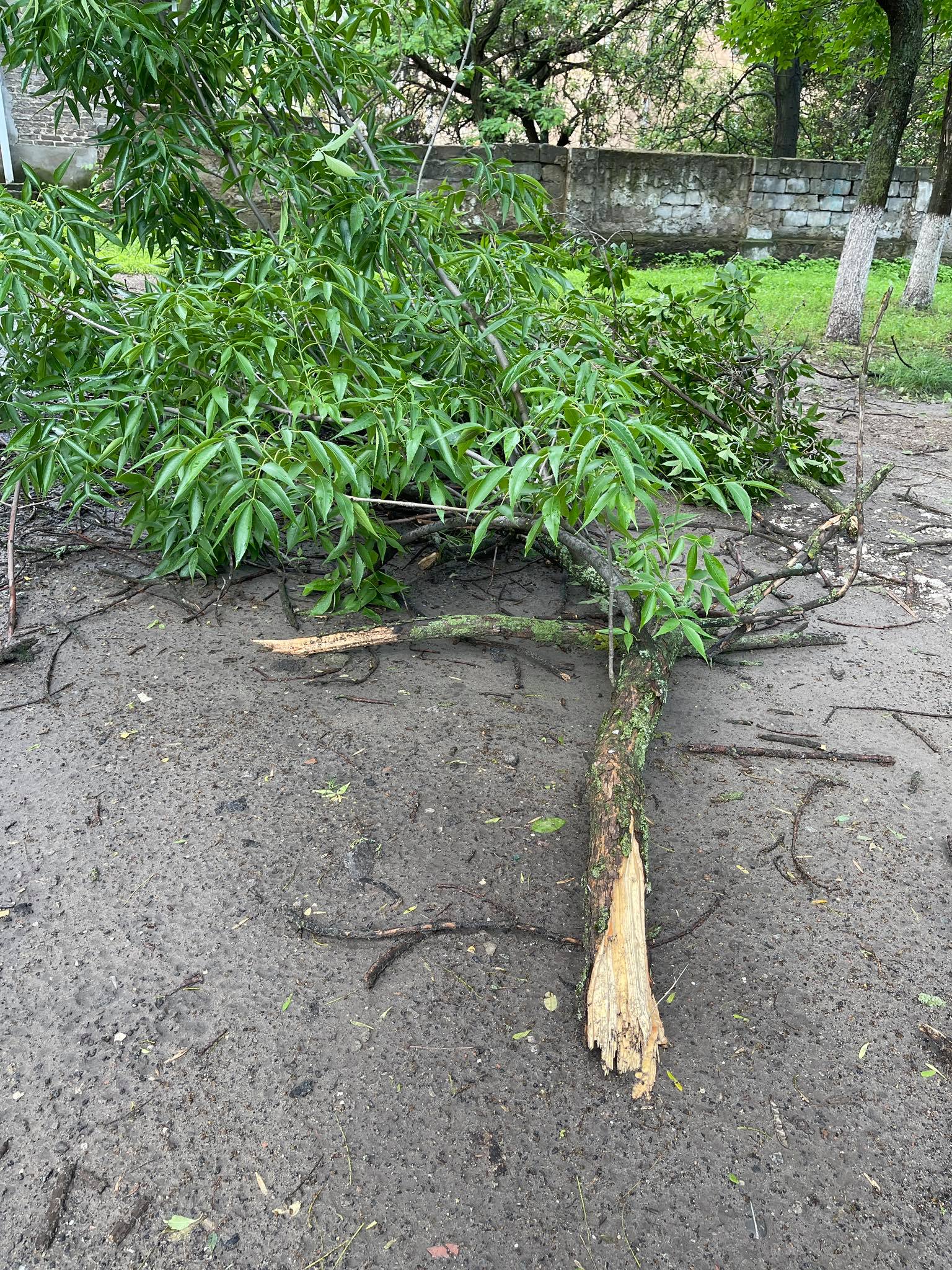 kramatorsk derevia5