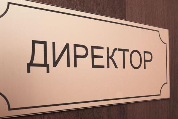 direktor