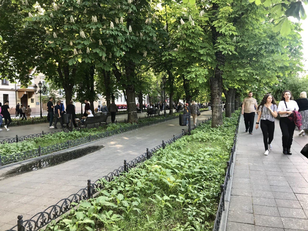 odessa6