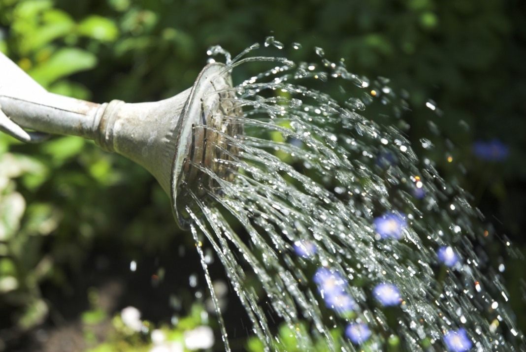 irrigation 11
