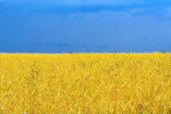 nezalezhnіst