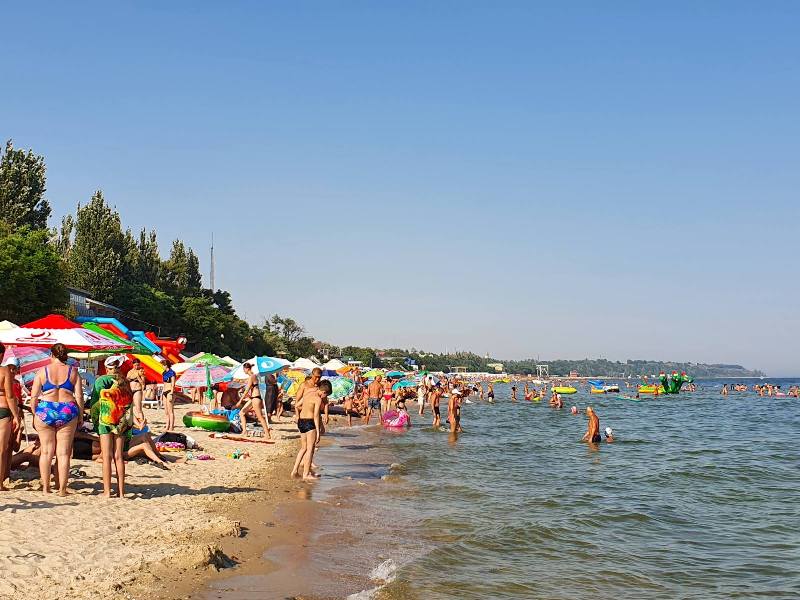 meduzy azov 202111 1