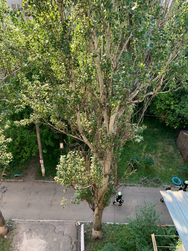 vozgoranie balkon2