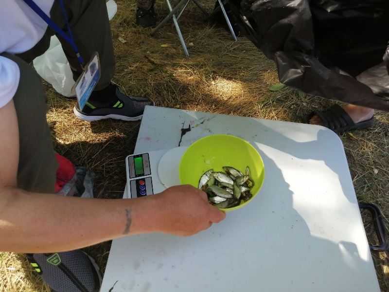 festival rybackaja semja.jpg11