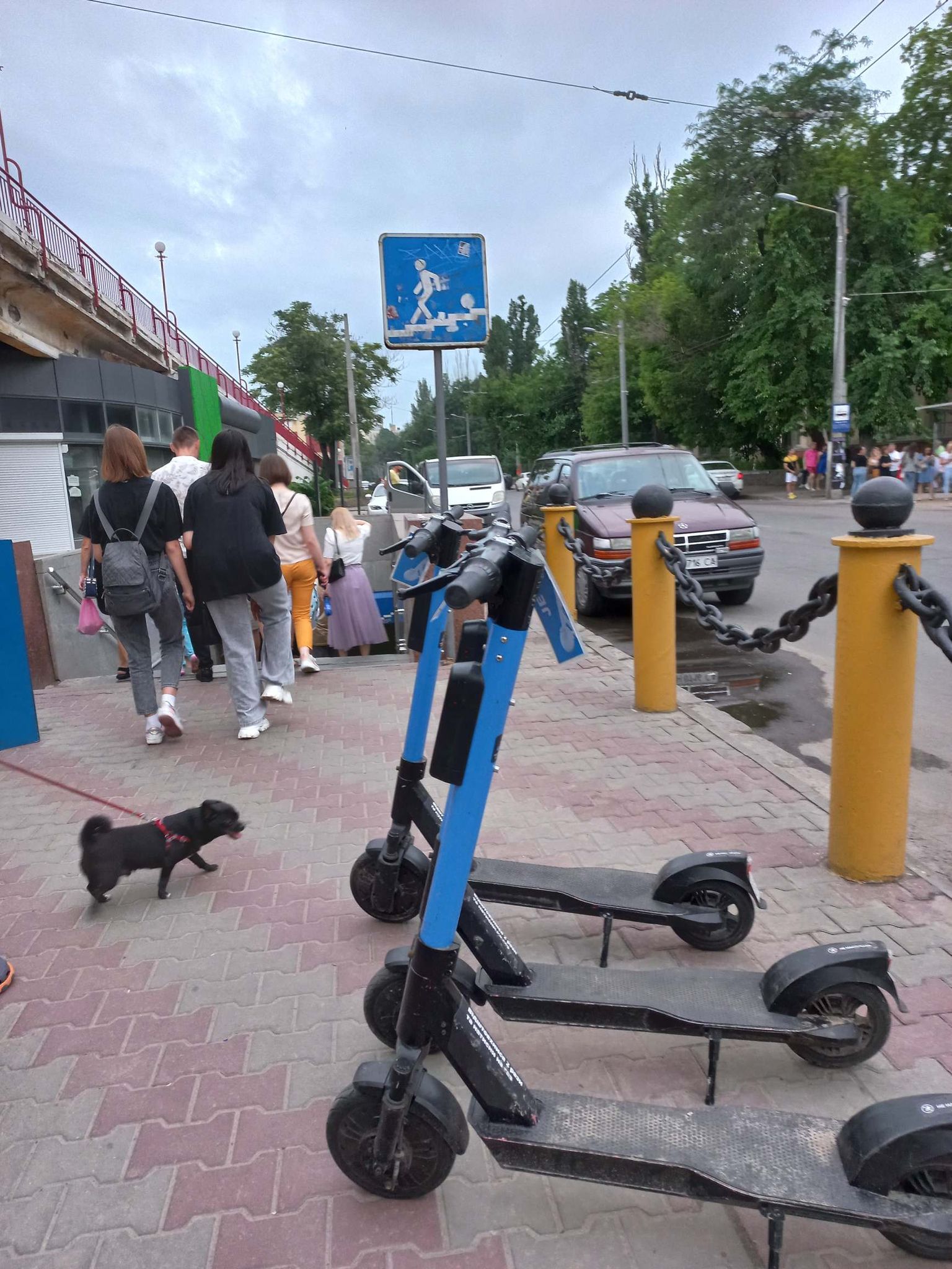 odessa vilkovo otdyh.jpg4