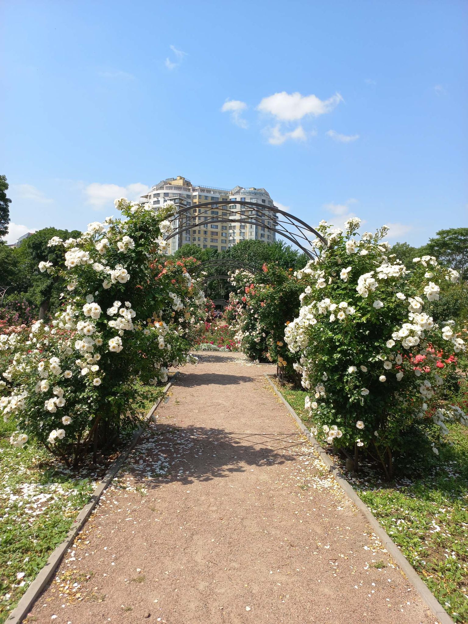 odessa vilkovo otdyh.jpg44