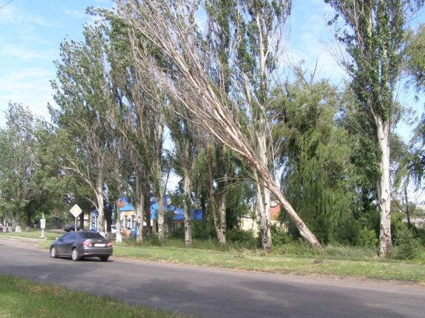 sukhoje derevo kramatorsk