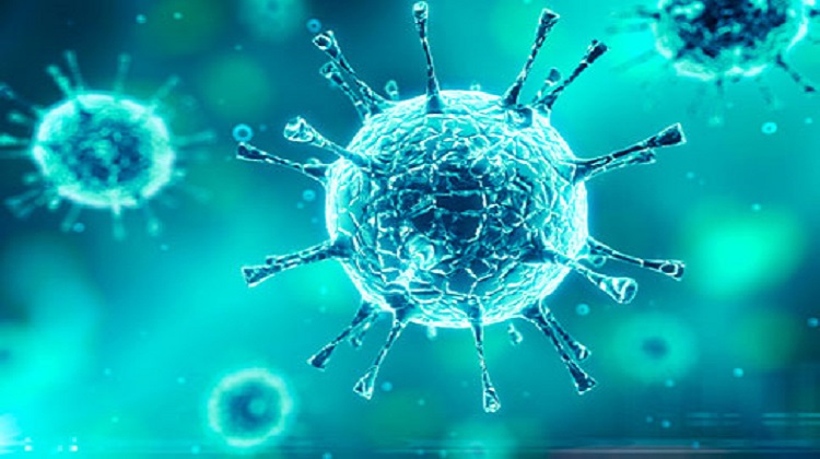 42bca13 097c5f7 virus 68