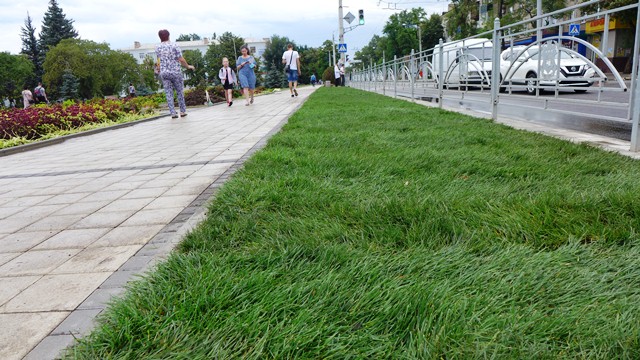 gazon kramatorsk