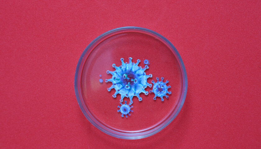 koronavirus statystyka scaled 840x480