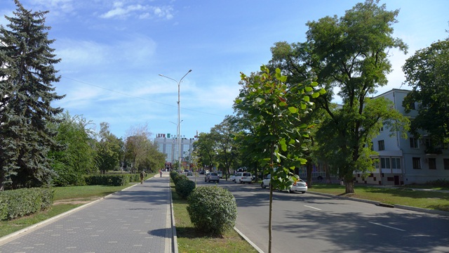 ozelenenije centr kramatorsk 1