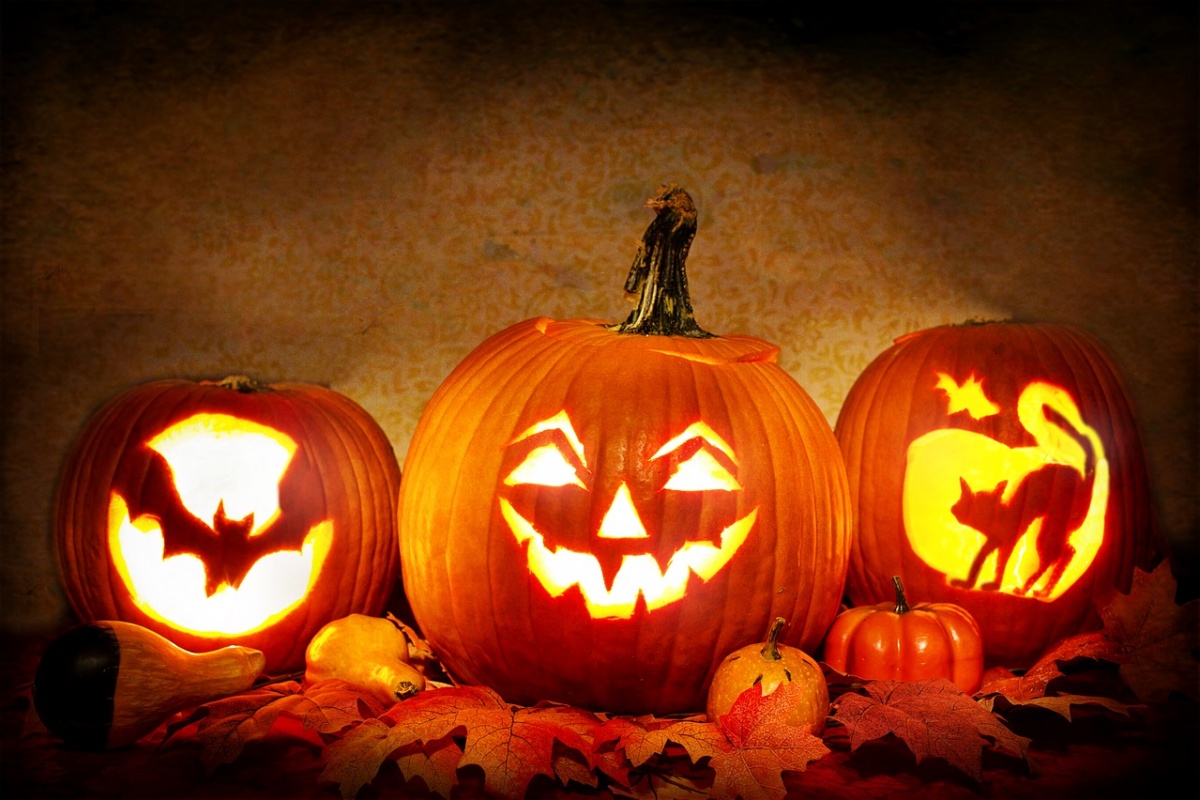 5db8c3c9e069f jack o lanterns 3735386 1280 1200