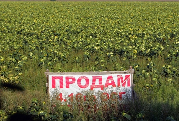 rіnok zemli