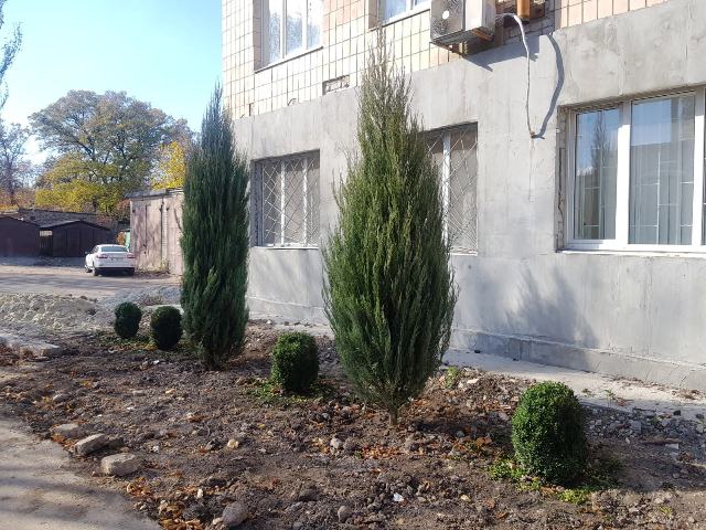 jalivec vysadka kramatorsk