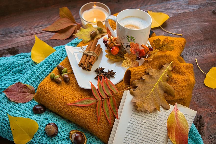 autumn coffee leaves autumn weather sweater book fall season chestnut coffee cup